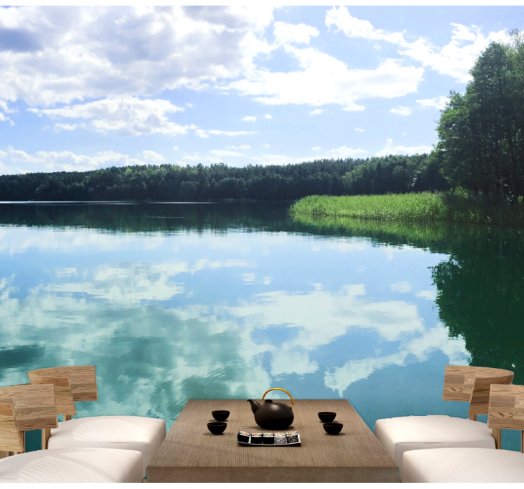 Serene Reflection lake wall mural - TenStickers
