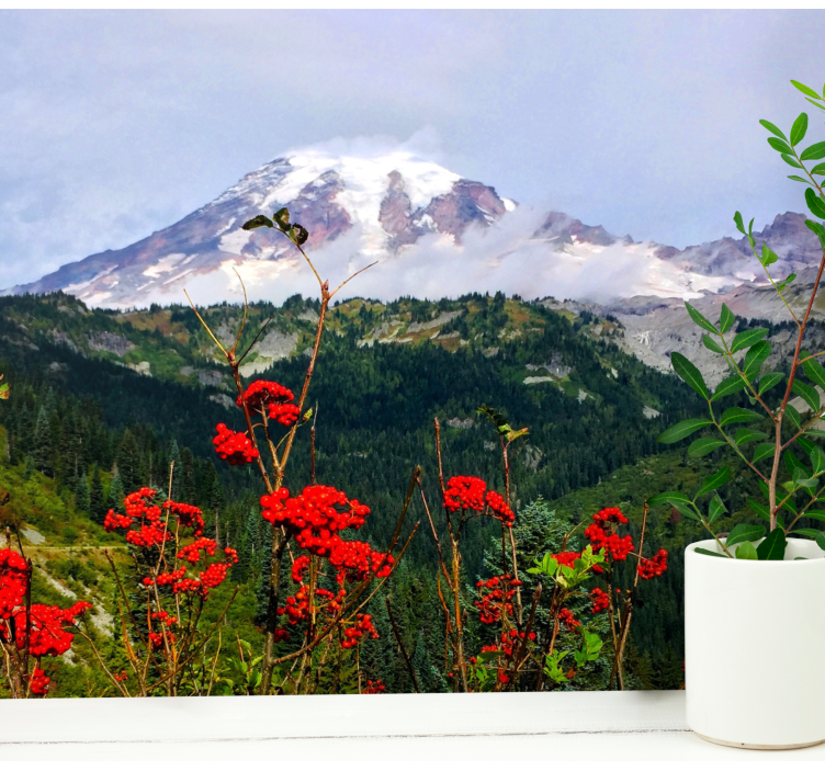 Snow-capped mountain landscape mural wallpaper - TenStickers