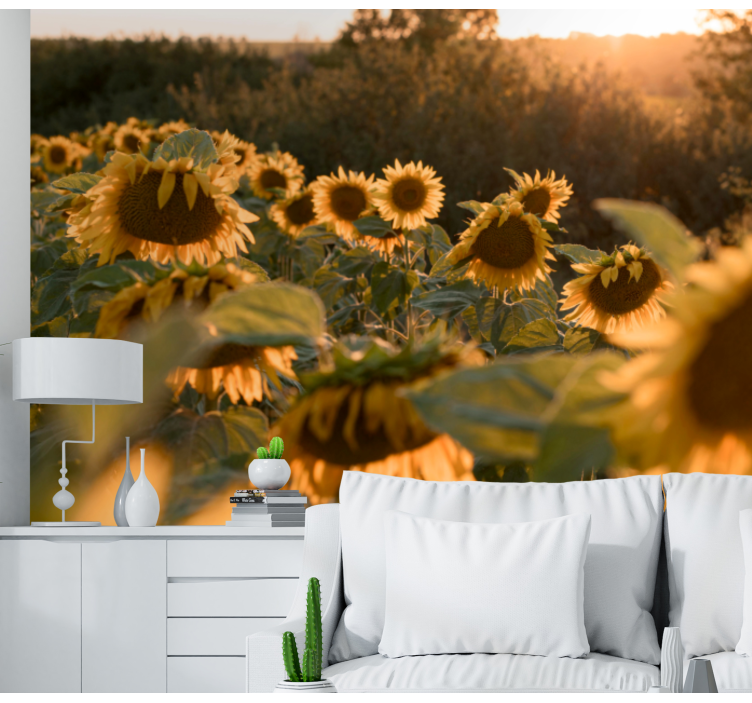 Sunflower sunshine wall mural - TenStickers