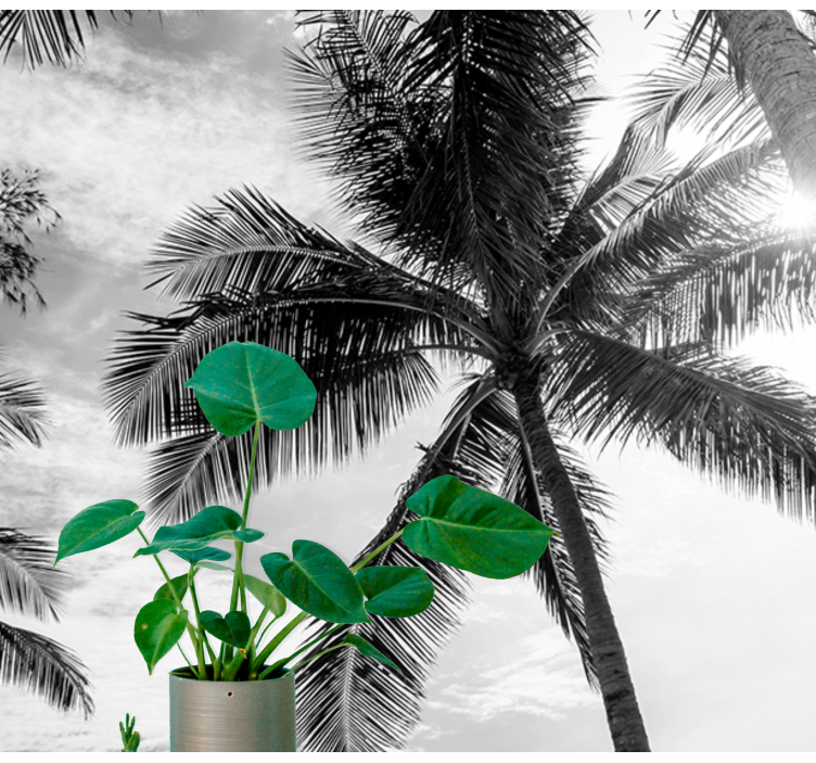 Tropical palm scene sea mural - TenStickers