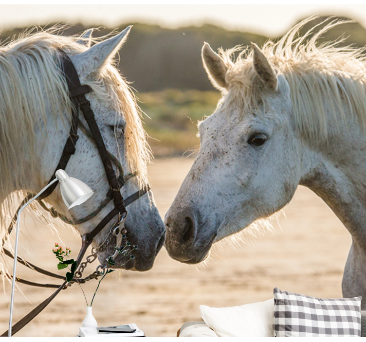 Two white horses wall mural - TenStickers