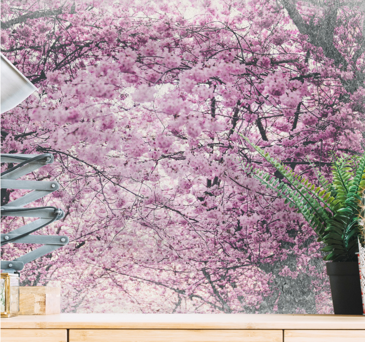 Vibrant cherry blossom trees wall mural - TenStickers