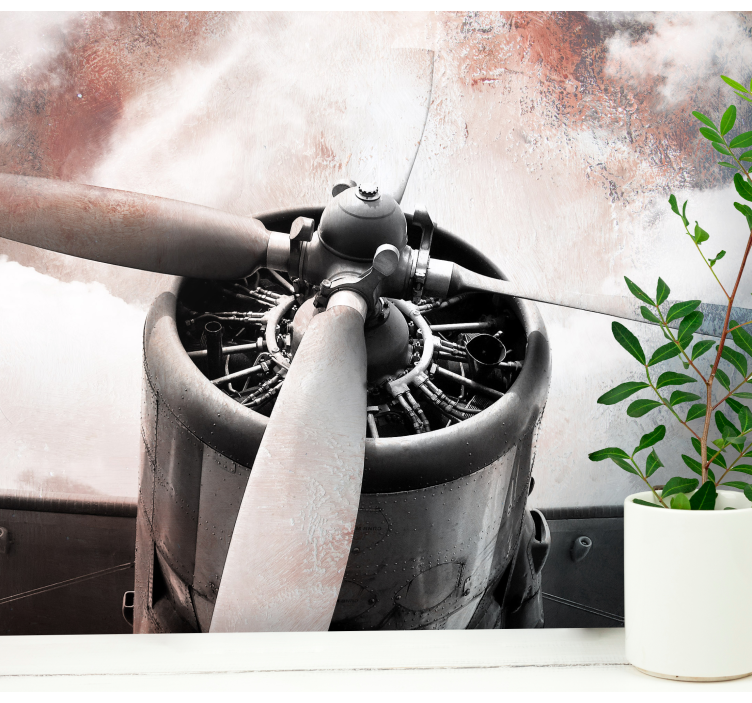 Vintage Aircraft Propeller vehicle mural - TenStickers