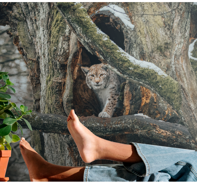 Wild lynx with tree wall mural - TenStickers