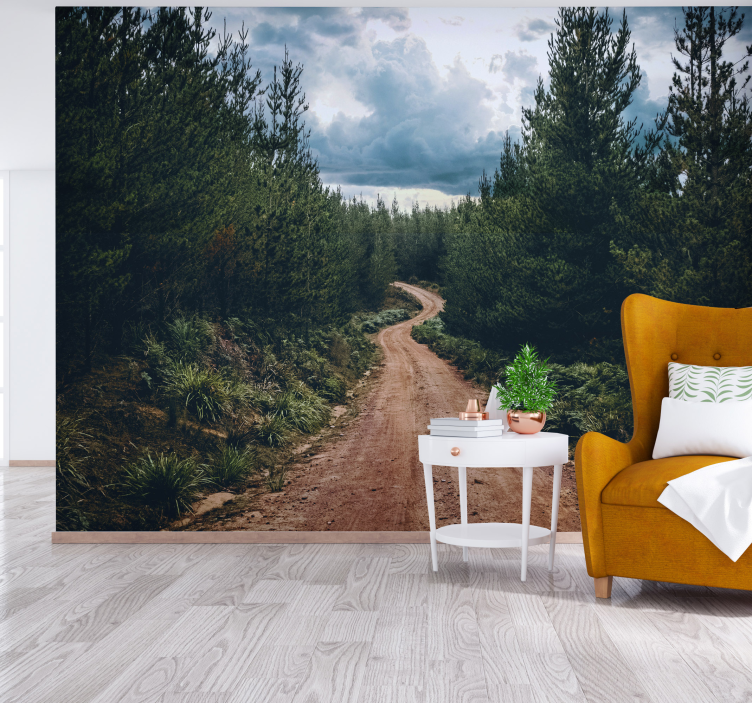 Winding nature path landscape mural wallpaper - TenStickers