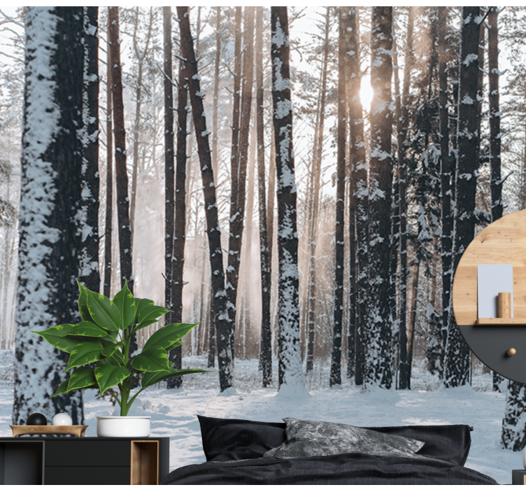Wintry Pine Woods forest wall mural - TenStickers