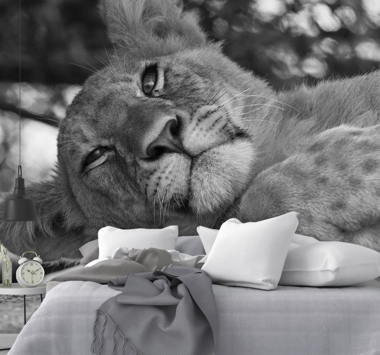 Young lion in grayscale lion wall mural - TenStickers