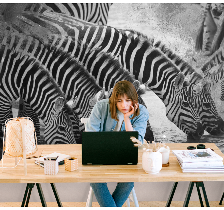 Zebras Drinking Water animal wall mural - TenStickers