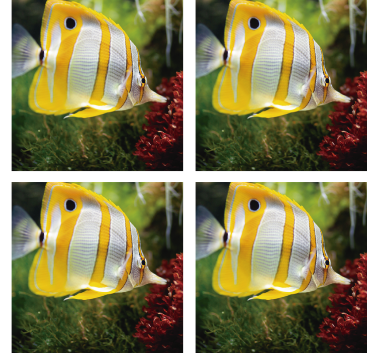 Beautiful white and yellow fish coaster - TenStickers