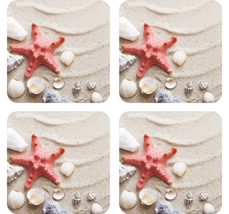 Modern coasters starfish and seashell design - TenStickers