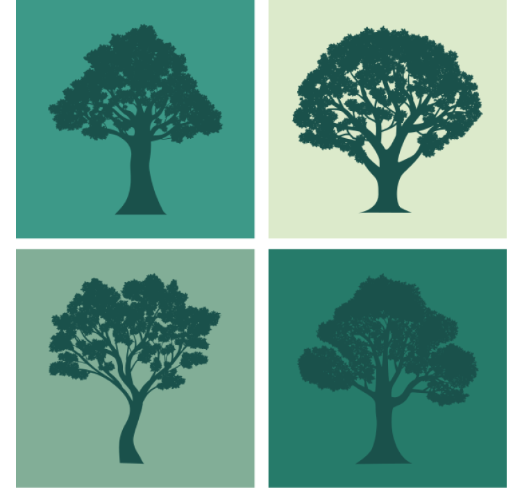 Coasters silhouette trees collection - TenStickers