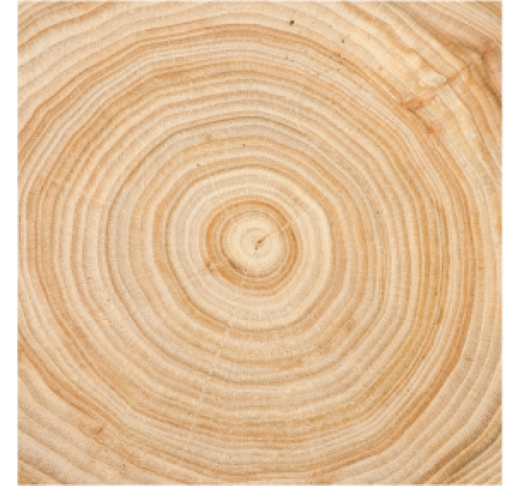 Coasters wood grain circle - TenStickers