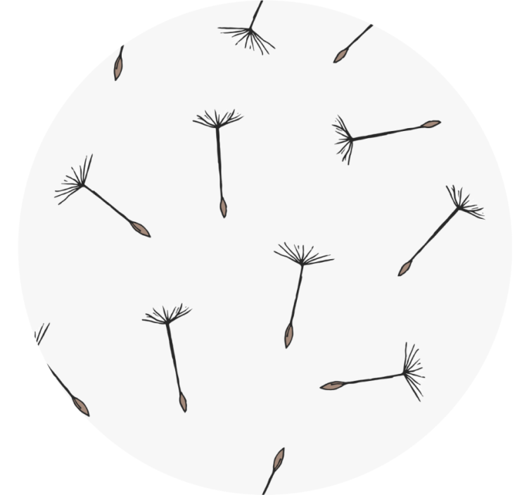 Minimalistic dandelions modern coaster - TenStickers