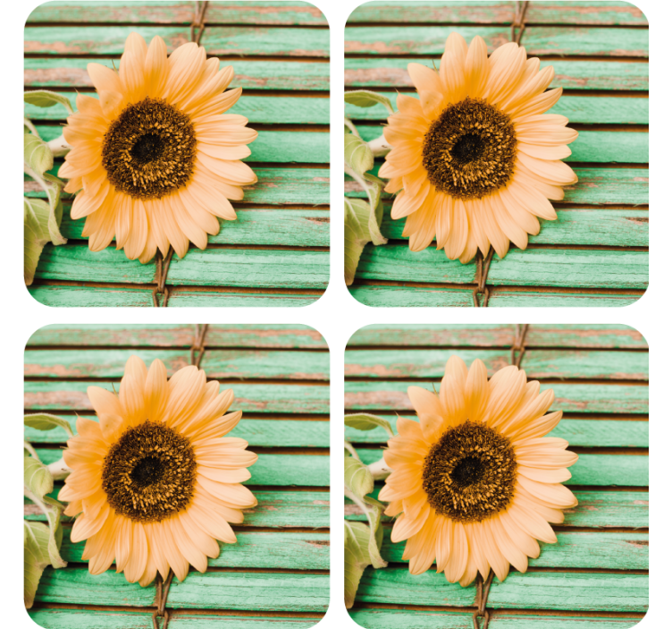 Modern coasters sunflower on green background - TenStickers
