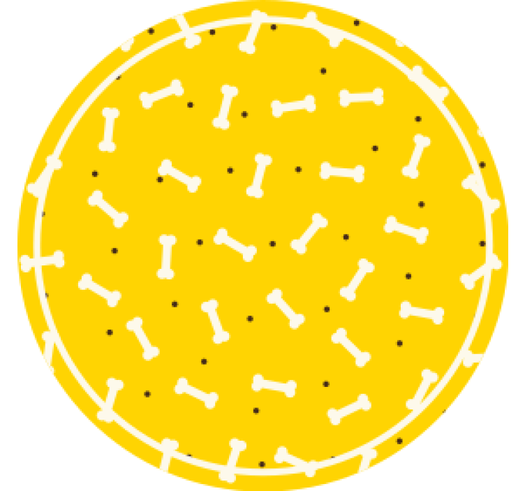 Geek coasters bone pattern round - TenStickers