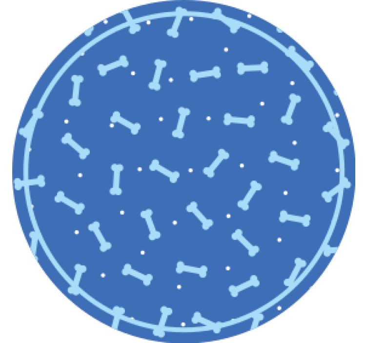 Coasters with bone pattern circle design - TenStickers