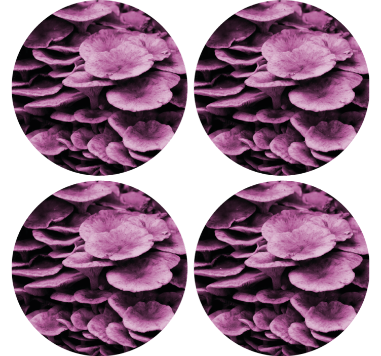 Textured floral pattern coasters - TenStickers