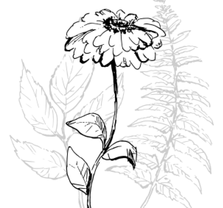 Botanical line art coasters - TenStickers