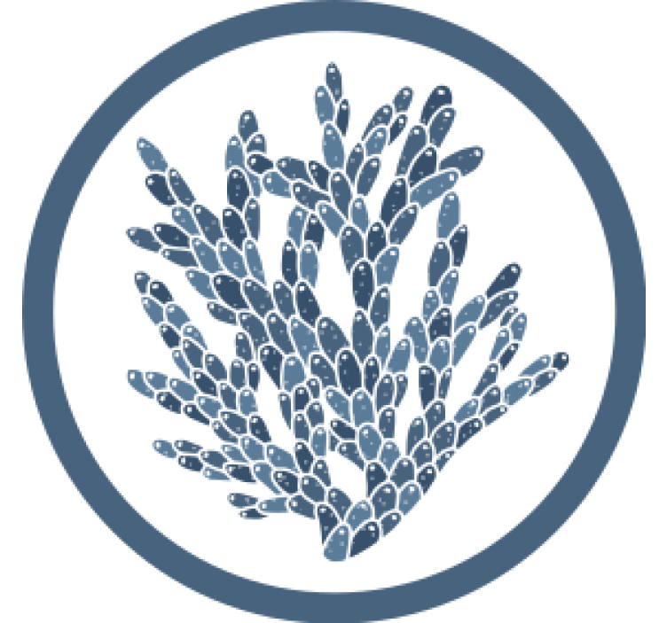 Coasters abstract coral design - TenStickers