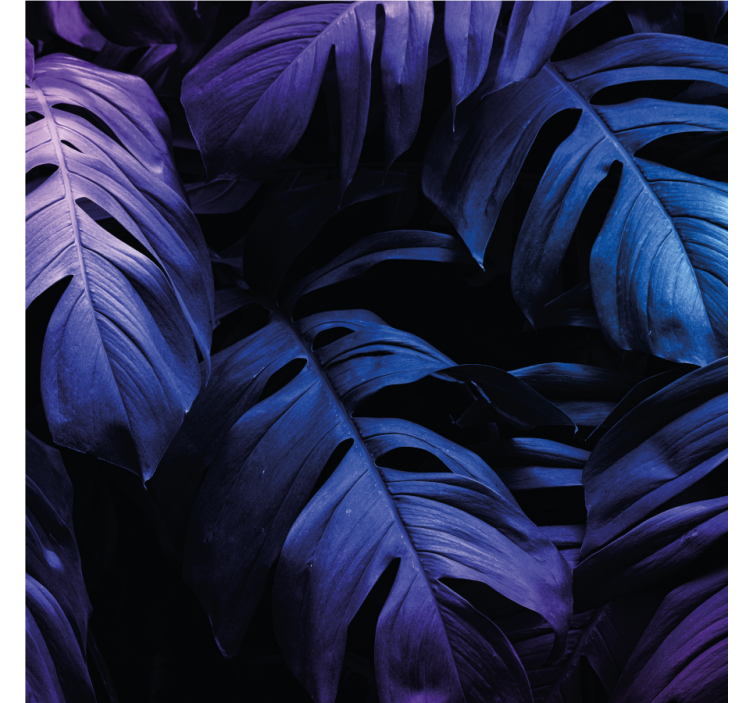 Verdant foliage motifs coasters - TenStickers