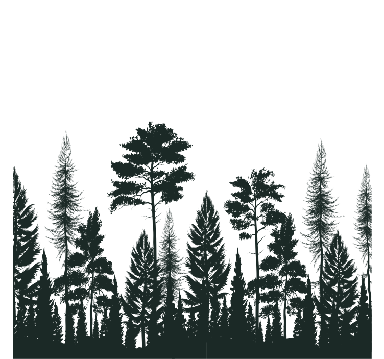 Coasters silhouette of tall pines - TenStickers