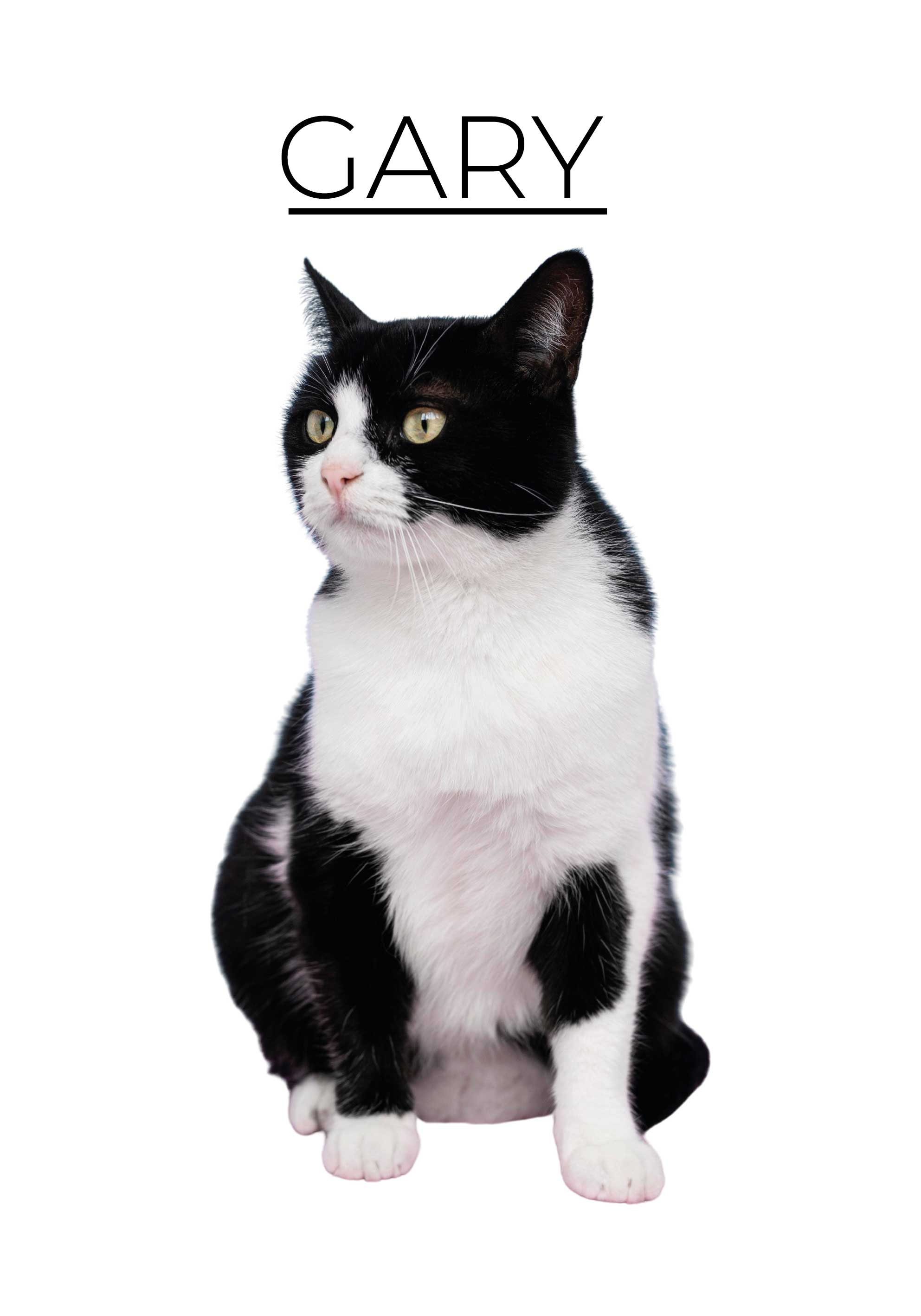 personalized minimalist animal poster - TenStickers