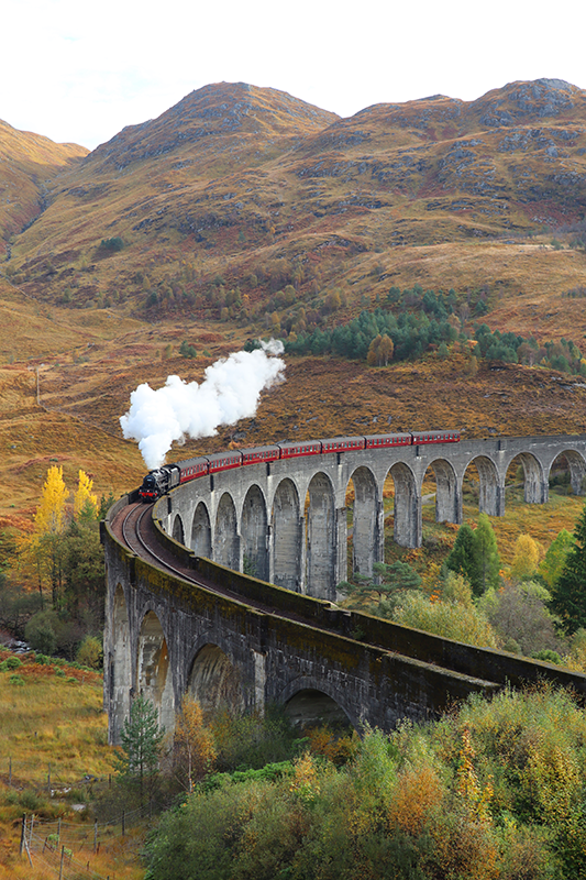 Moving train photo realistic poster - TenStickers