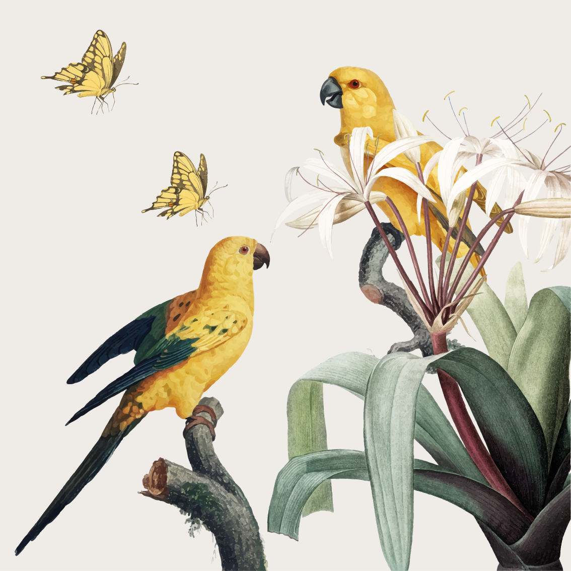 Living room poster of parrots with yellow flowers - TenStickers