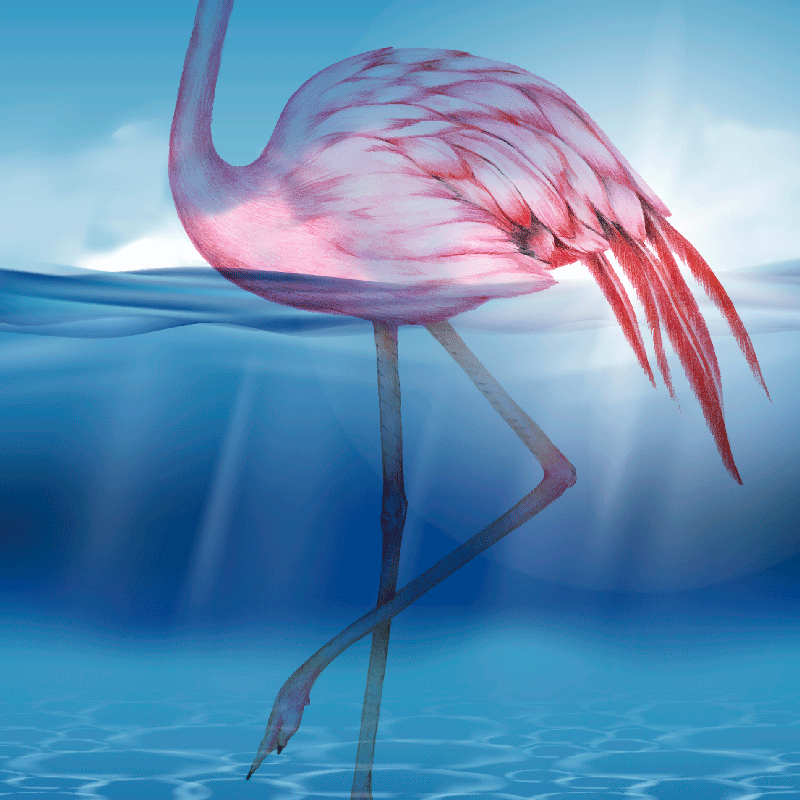 Living room poster featuring underwater flamingo design - TenStickers
