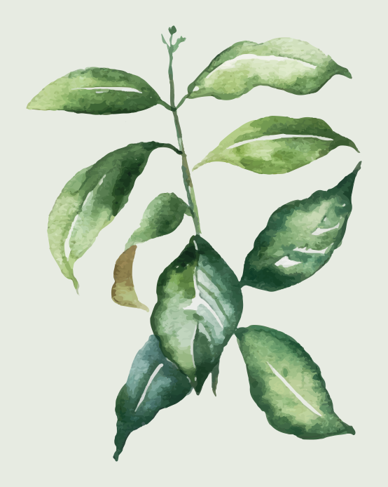 Flowers poster lime palm leaf print - TenStickers