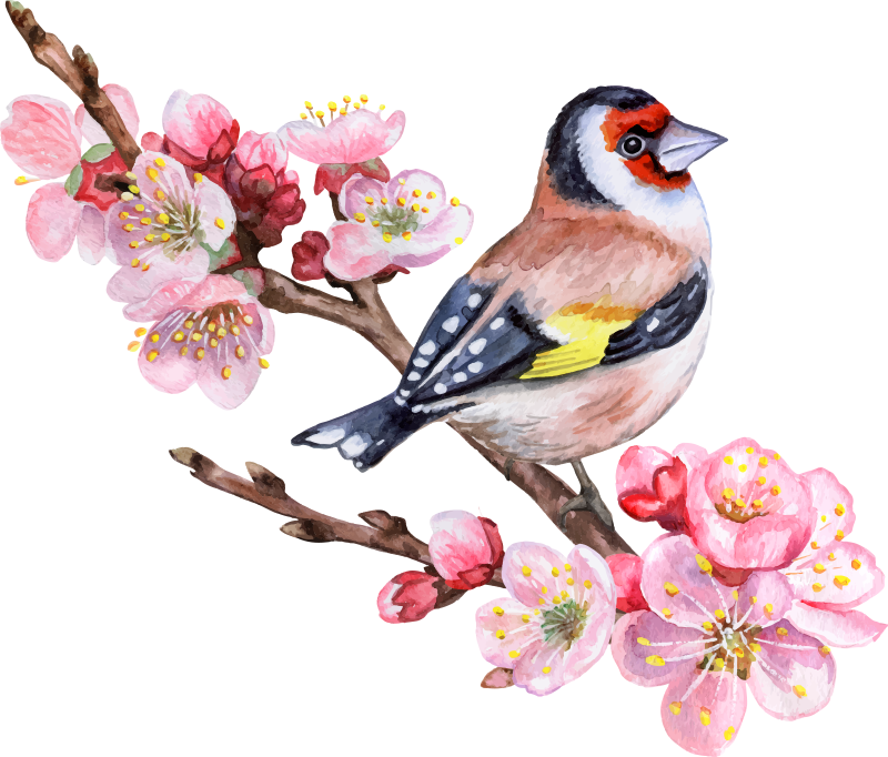 Tree poster spring branches with birds - TenStickers