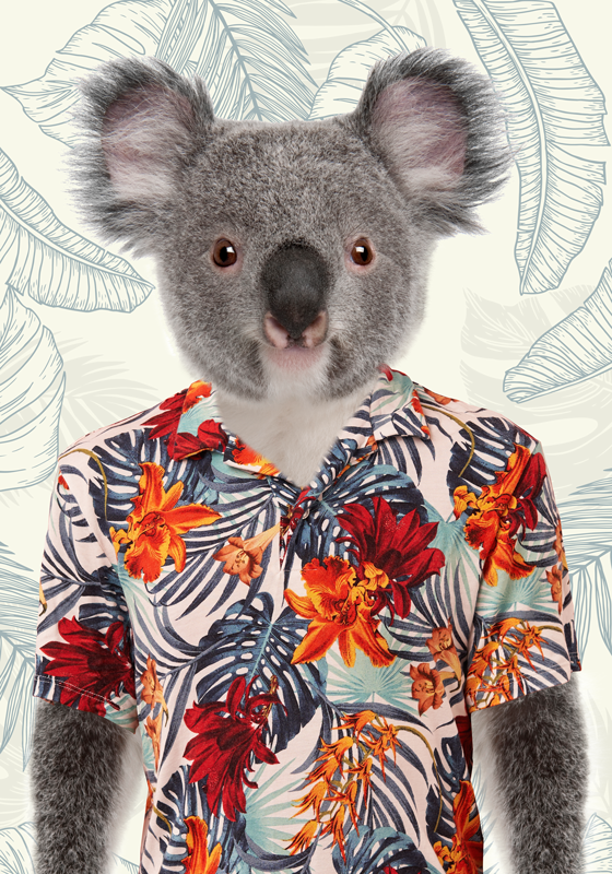 Elegant KoalaAn elegant koala with grace and poise. A creature of - TenStickers