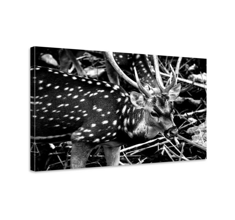 Elegant gray scale portrait stag canvas - TenStickers