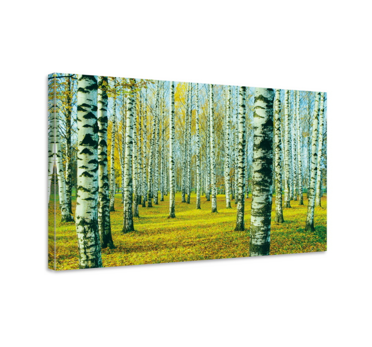 Birk forest canvas pictures for living room - TenStickers