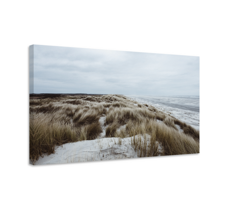 Landscape canvas coastal dune view - TenStickers