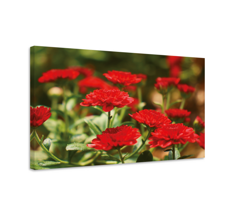 Flowers canvas red flower blooms - TenStickers