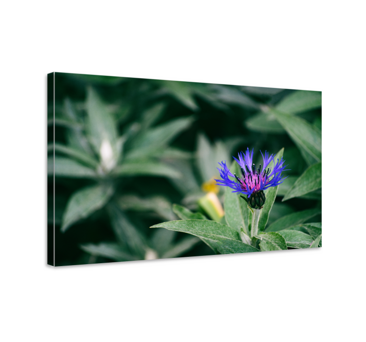 Flowers canvas delicate purple blossom artwork - TenStickers