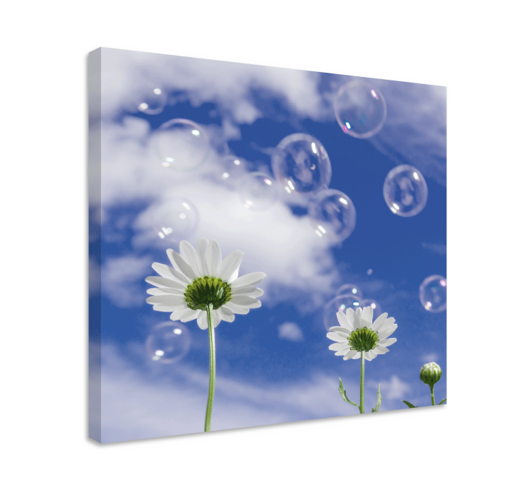 Daisy flower and bubbles flower canvas - TenStickers