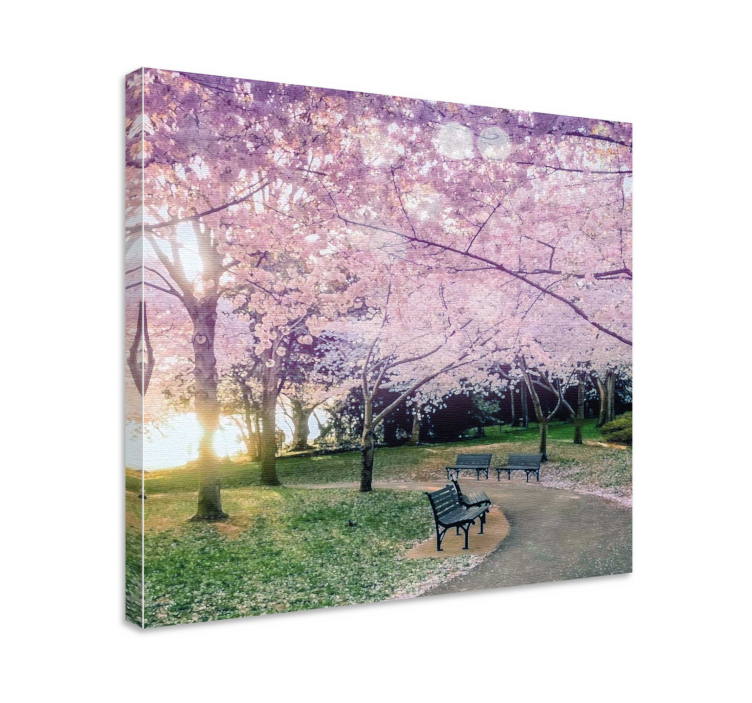 Flowers canvas cherry blossom pathway art - TenStickers