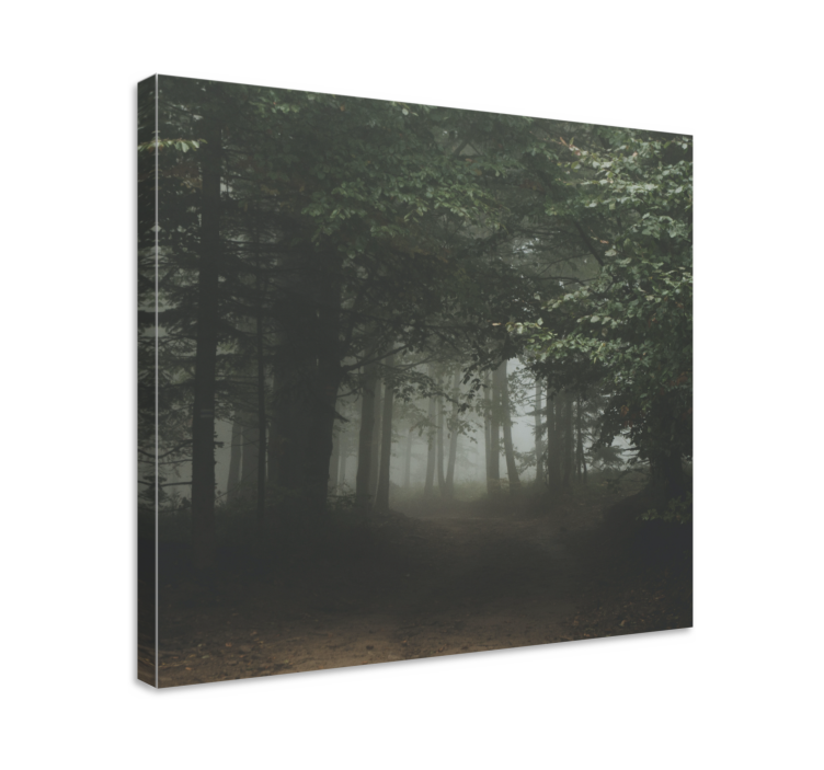 Freaky forest in Poland landscape canvas - TenStickers