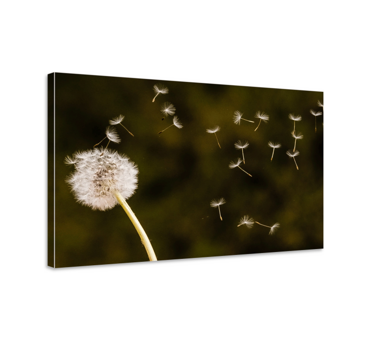 Dandelion seeds floating flowers canvas - TenStickers