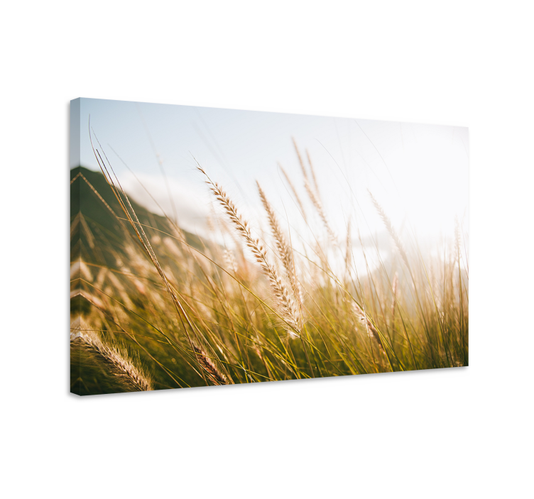 Flowers canvas in golden grass fields - TenStickers