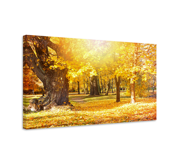 Tree canvas wall art autumn forest path - TenStickers