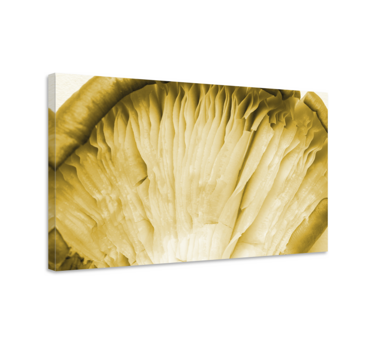Flowers canvas mushroom gills - TenStickers