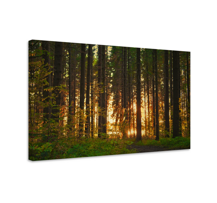 Landscape canvas illuminated woodland scene - TenStickers