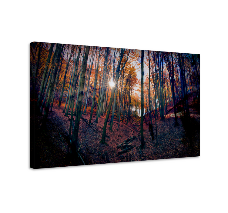 Landscape canvas autumn forest glow - TenStickers