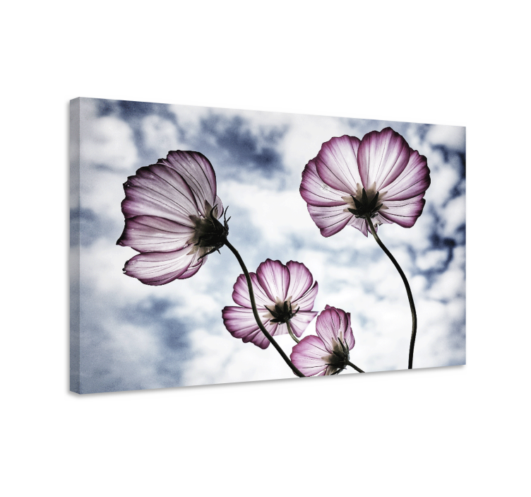 Elegant purple cosmos flower flower canvas - TenStickers
