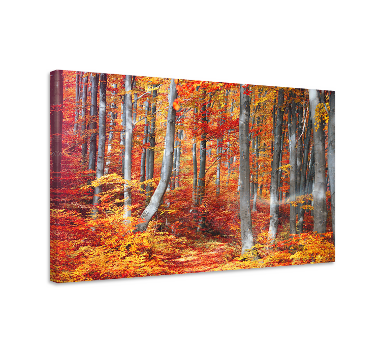Landscape canvas autumn forest trails - TenStickers