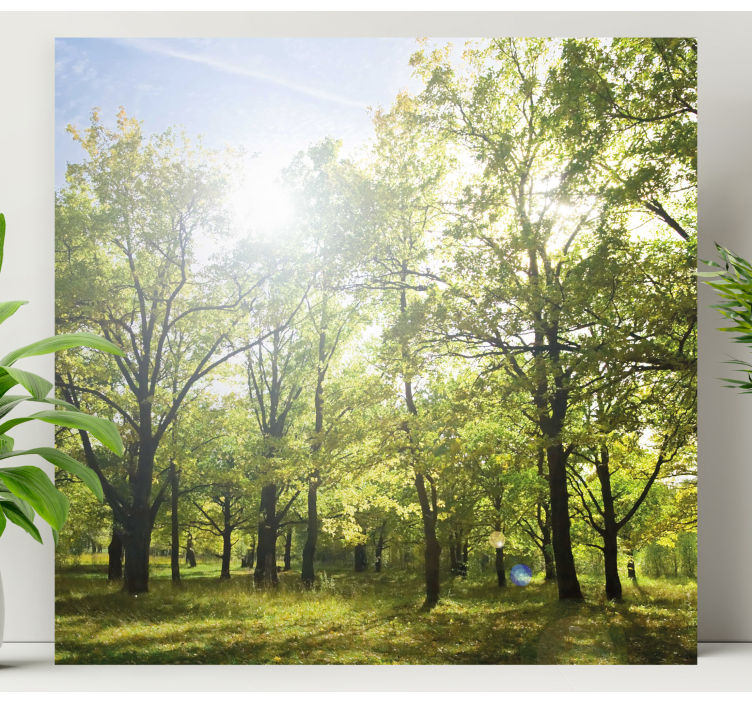 Bright forest in the sun landscape canvas - TenStickers