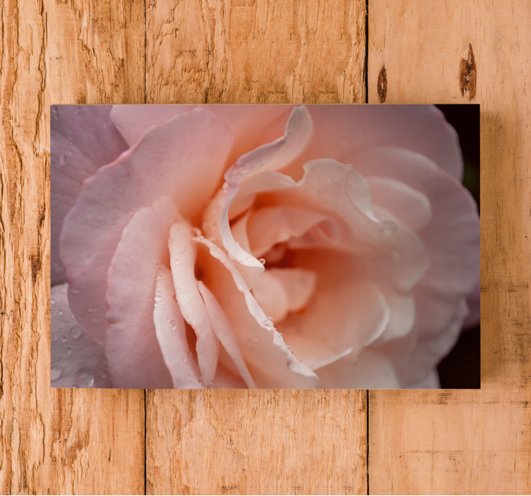 Delicate rose bloom flowers canvas - TenStickers